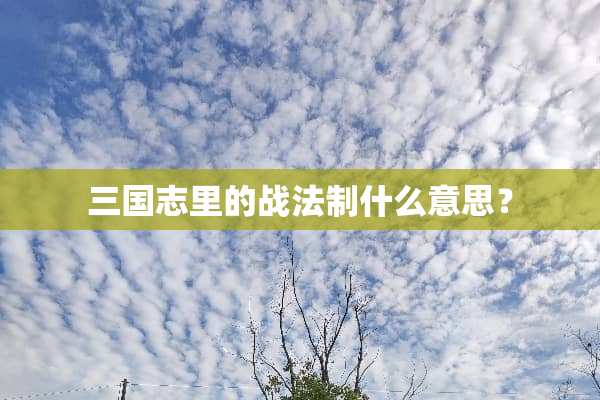 三国志里的战法制什么意思？