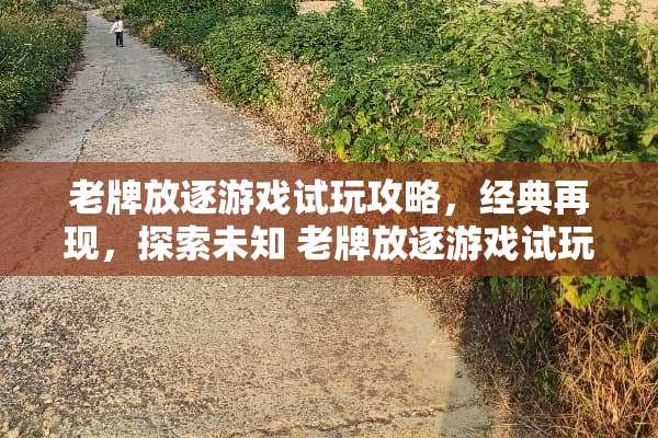 老牌放逐游戏试玩攻略，经典再现，探索未知 老牌放逐游戏试玩攻略