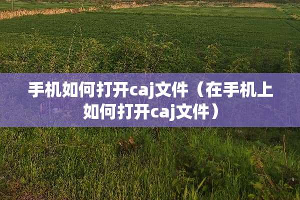手机如何打开caj文件（在手机上如何打开caj文件）