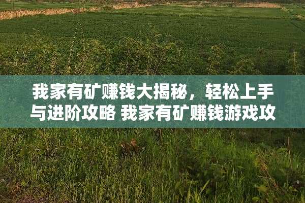 我家有矿赚钱大揭秘，轻松上手与进阶攻略 我家有矿赚钱游戏攻略