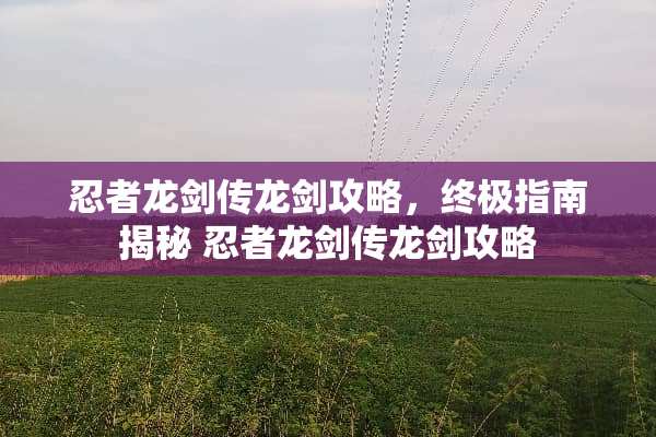 忍者龙剑传龙剑攻略，终极指南揭秘 忍者龙剑传龙剑攻略
