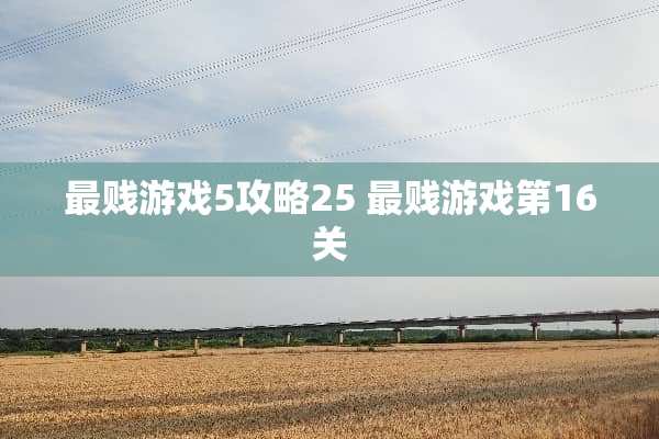 最贱游戏5攻略25 最贱游戏第16关