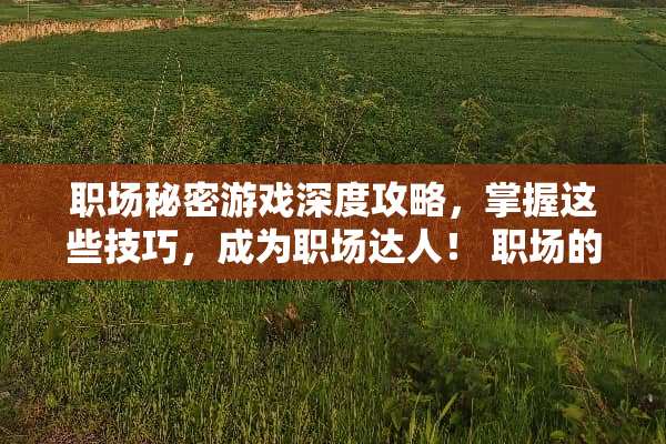 职场秘密游戏深度攻略，掌握这些技巧，成为职场达人！ 职场的秘密下载游戏攻略