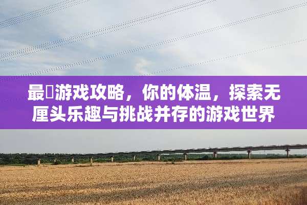 最囧游戏攻略，你的体温，探索无厘头乐趣与挑战并存的游戏世界 最囧游戏攻略你的体温