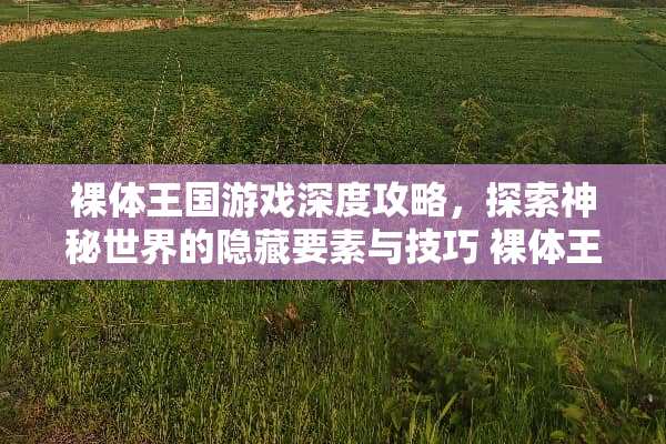 *体王国游戏深度攻略，探索神秘世界的隐藏要素与技巧*体王国攻略游戏