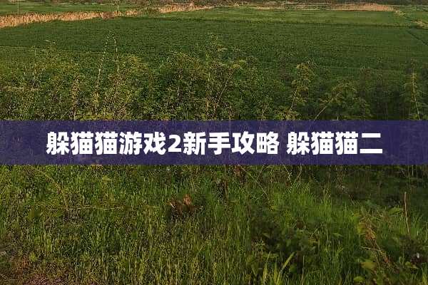 ***游戏2新手攻略***二