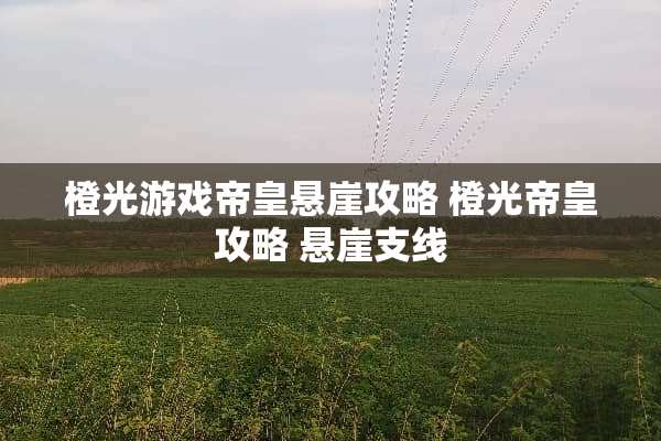 橙光游戏帝皇悬崖攻略 橙光帝皇攻略 悬崖支线