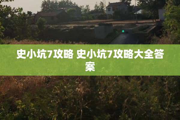 史小坑7攻略 史小坑7攻略大全答案