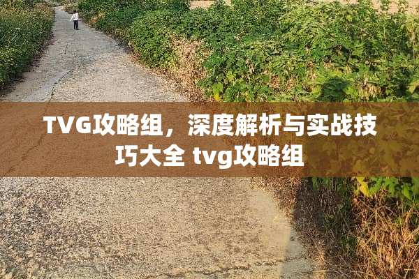 TVG攻略组，深度解析与实战技巧大全 tvg攻略组