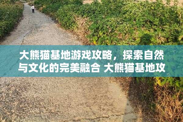 大熊猫基地游戏攻略，探索自然与文化的完美融合 大熊猫基地攻略游戏