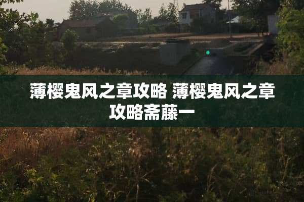 薄樱鬼风之章攻略 薄樱鬼风之章攻略斋藤一