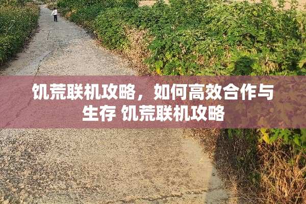 饥荒联机攻略，如何高效合作与生存 饥荒联机攻略