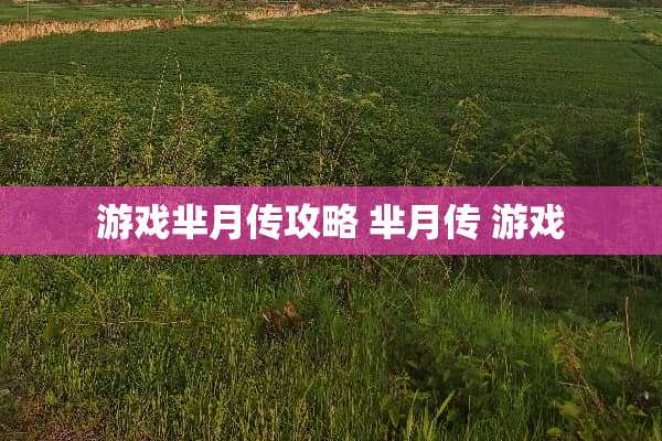 游戏芈月传攻略 芈月传 游戏