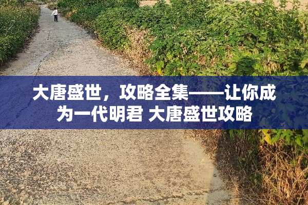 大唐盛世，攻略全集——让你成为一代明君 大唐盛世攻略