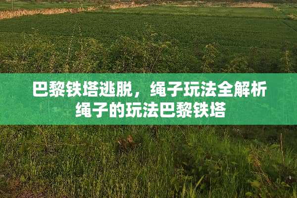巴黎铁塔逃脱，绳子玩法全解析 绳子的玩法巴黎铁塔