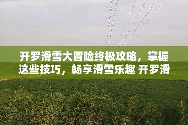 开罗滑雪大冒险终极攻略，掌握这些技巧，畅享滑雪乐趣 开罗滑雪游戏攻略