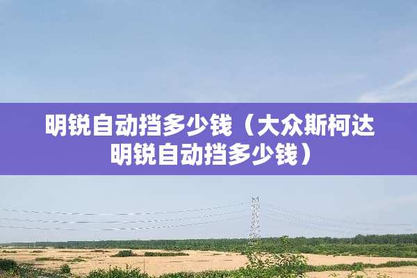 明锐自动挡多少钱（大众斯柯达明锐自动挡多少钱）