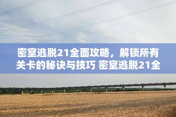 密室逃脱21全面攻略，解锁所有关卡的秘诀与技巧 密室逃脱21全关卡攻略