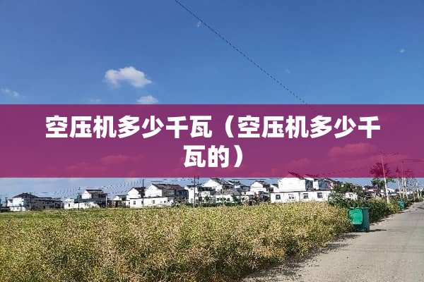 空压机多少千瓦（空压机多少千瓦的）