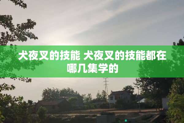 犬夜叉的技能 犬夜叉的技能都在哪几集学的