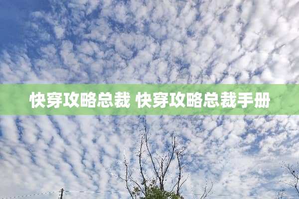 快穿攻略总裁 快穿攻略总裁手册