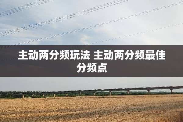 主动两分频玩法 主动两分频最佳分频点