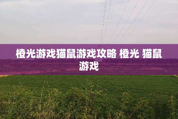 橙光游戏猫鼠游戏攻略 橙光 猫鼠游戏