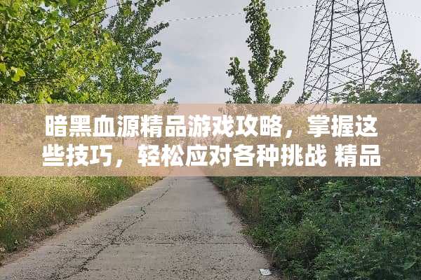 暗黑血源精品游戏攻略，掌握这些技巧，轻松应对各种挑战 精品游戏暗黑血源攻略