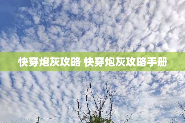 快穿炮灰攻略 快穿炮灰攻略手册