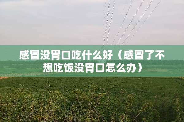 感冒没胃口吃什么好（感冒了不想吃饭没胃口怎么办）