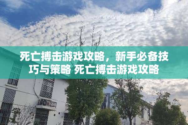 死亡搏击游戏攻略，新手必备技巧与策略 死亡搏击游戏攻略