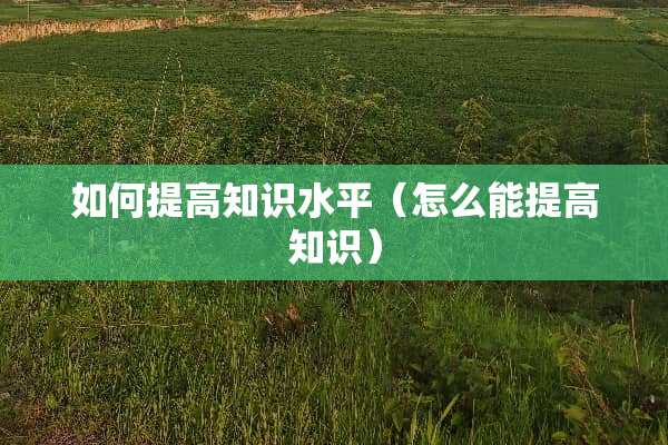 如何提高知识水平（怎么能提高知识）
