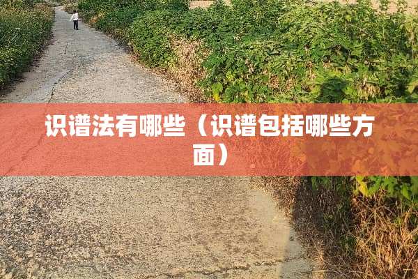 识谱法有哪些（识谱包括哪些方面）