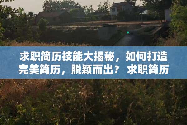 求职简历技能大揭秘，如何打造完美简历，脱颖而出？ 求职简历技能