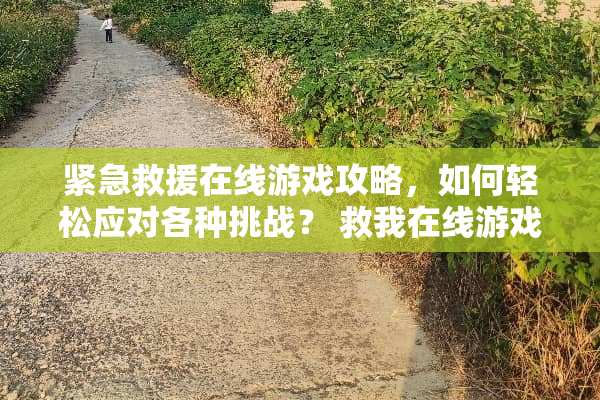 紧急救援在线游戏攻略，如何轻松应对各种挑战？ 救我在线游戏攻略