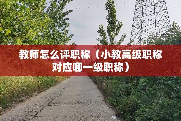 教师怎么评职称（小教高级职称对应哪一级职称）