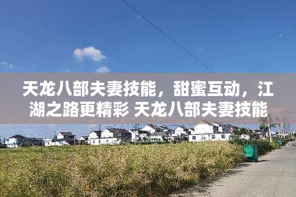 天龙八部夫妻技能，甜蜜互动，江湖之路更精彩 天龙八部夫妻技能