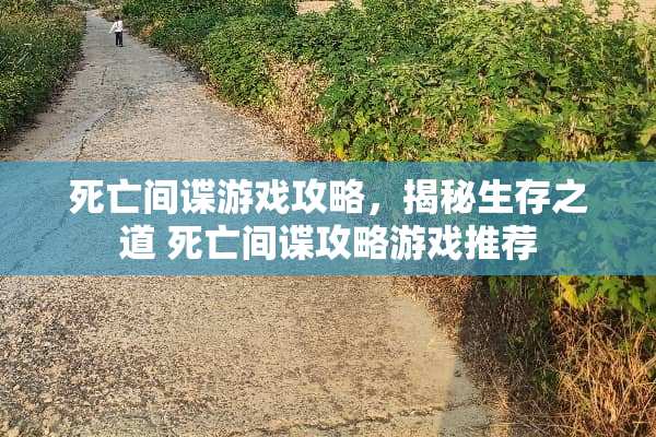 死亡**游戏攻略，揭秘生存之道 死亡**攻略游戏推荐