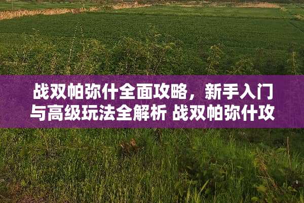 战双帕弥什全面攻略，新手入门与高级玩法全解析 战双帕弥什攻略