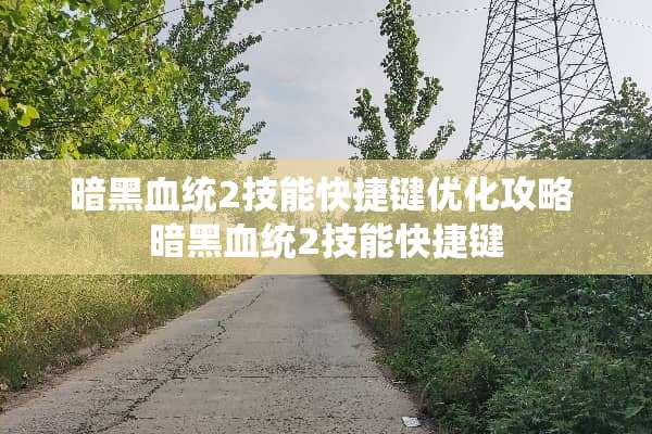暗黑血统2技能快捷键优化攻略 暗黑血统2技能快捷键