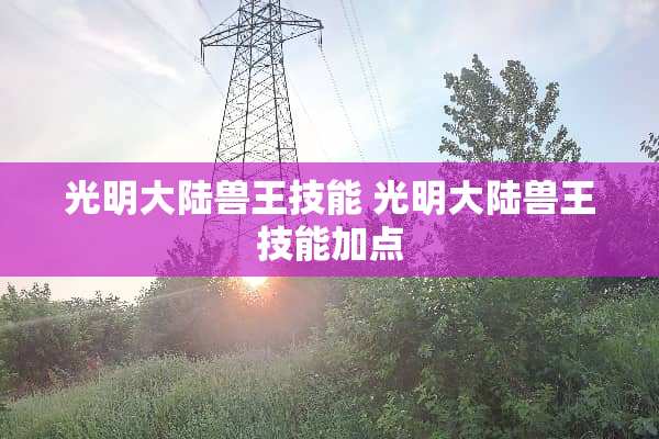 光明**兽王技能 光明**兽王技能加点