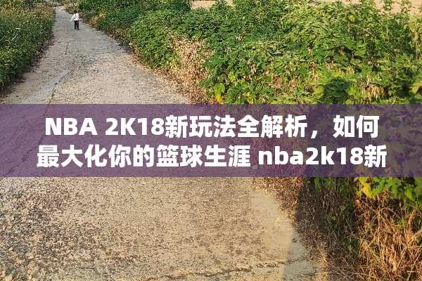 NBA 2K18新玩法全解析，如何最大化你的篮球生涯 nba2k18新玩法