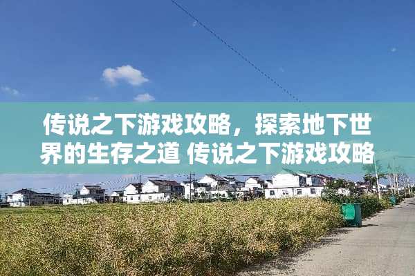 传说之下游戏攻略，探索**世界的生存之道 传说之下游戏攻略