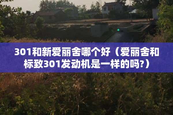 301和新爱丽舍哪个好（爱丽舍和标致301发动机是一样的吗?）
