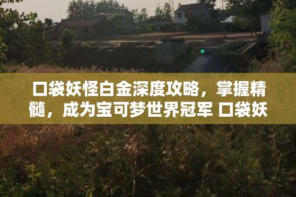 口袋妖怪白金深度攻略，掌握精髓，成为宝可梦世界冠军 口袋妖怪白金攻略