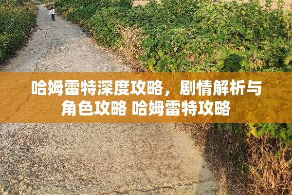 哈姆雷特深度攻略，剧情解析与角色攻略 哈姆雷特攻略