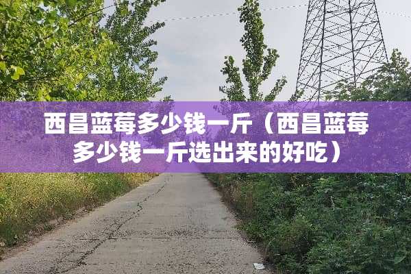 西昌蓝莓多少钱一斤(西昌蓝莓多少钱一斤选出来的好吃)