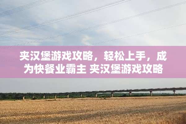 夹汉堡游戏攻略，轻松上手，成为快餐业霸主 夹汉堡游戏攻略
