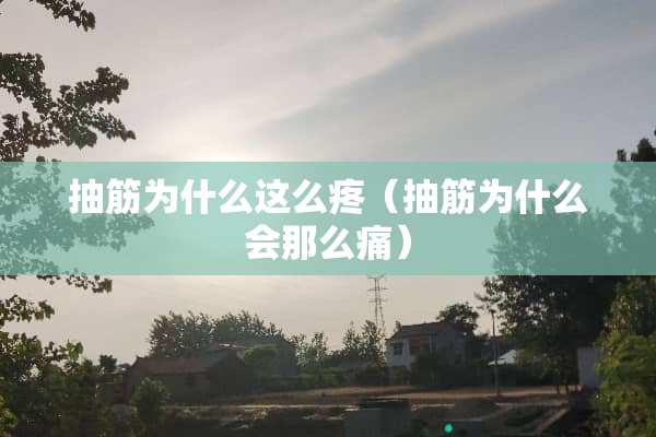 抽筋为什么这么疼（抽筋为什么会那么痛）