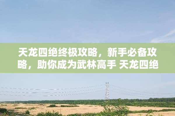 天龙四绝终极攻略，新手必备攻略，助你成为武林高手 天龙四绝攻略